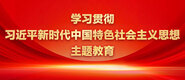 大鸡吧操免费视频学习贯彻习近平新时代中国特色社会主义思想主题教育_fororder_ad-371X160(2)